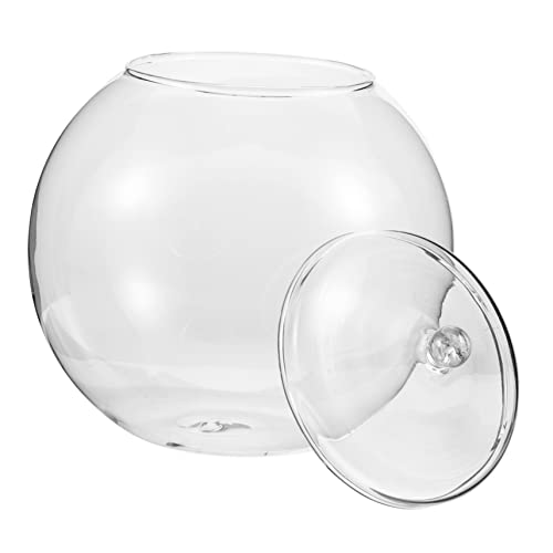 TOYANDONA Moos-Öko-Flasche hochzeitsdeko saftiges Terrarium Desktop-Pflanzgefäß Desktop -Zubehör Pflanzterrarien Desktop -Terrarium Schreibtisch-Terrarium Sukkulenten Terrarium Glas TOYANDONA Moos-Öko-Flasche hochzeitsdeko saftiges Terrarium Desktop-Pflanzgefäß Desktop -Zubehör Pflanzterrarien Desktop -Terrarium Schreibtisch-Terrarium Sukkulenten Terrarium Glas von TOYANDONA