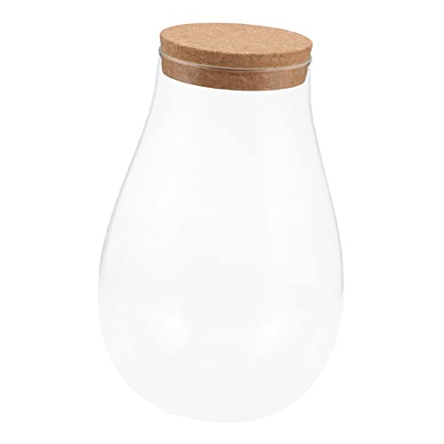 TOYANDONA Moos-Öko-Flasche zimmerpflanzen Sustainability Glasterrarium verkleidung wassersparend Pflanzenglas-Terrarium Fisch klein Terrarienglas Moosbeere Behälter Terrarium hölzern von TOYANDONA