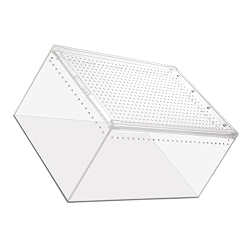 TOYANDONA Multifunktionale Reptilienbox für Schlangen Frösche Spinnen und Luftdurchlässig für Haustierhaltung und Zuchtzubehör TOYANDONA Multifunktionale Reptilienbox für Schlangen Frösche Spinnen und Luftdurchlässig für Haustierhaltung und Zuchtzubehör von TOYANDONA
