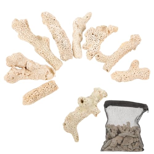 TOYANDONA Natürliche Korallenknochen Filtermedien für Aquarium und Teich Grobkörniger Bodensubstrat Effektive Wasserreinigung Wiederverwendbar mit Schwarzem Netzbeutel Klareres Wasser für TOYANDONA Natürliche Korallenknochen Filtermedien für Aquarium und Teich Grobkörniger Bodensubstrat Effektive Wasserreinigung Wiederverwendbar mit Schwarzem Netzbeutel Klareres Wasser für von TOYANDONA