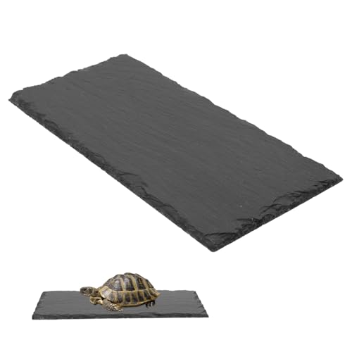 TOYANDONA Natürliche Stein Futterschale für Reptilien mit Glatter Oberfläche Sicher für Schildkröten Eidechsen und Kleine Reptilien Gesundes Futterbecken für Terrarien und Landschildkröten von TOYANDONA
