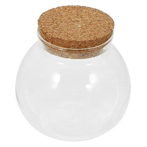 TOYANDONA Glas-Terrarium Mit Korkdeckel Ökologisches Flaschengarten DIY-mikrolandschaften Transparente Dekoration Für Wohnräume Büros Und Tische TOYANDONA Glas-Terrarium Mit Korkdeckel Ökologisches Flaschengarten DIY-mikrolandschaften Transparente Dekoration Für Wohnräume Büros Und Tische von TOYANDONA