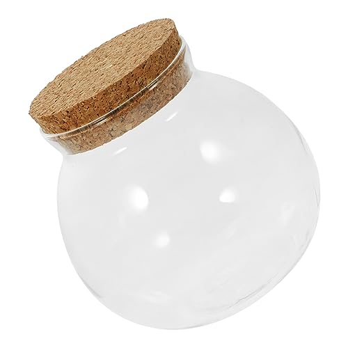 TOYANDONA Öko-flaschenornamente Pflanzendekoration Mikro-landschaftspflanzerflasche Mikro-landschaftsflasche Inhaber Micro-landschafts-DIY-Flasche Container Landschaft Flasche Live Glas TOYANDONA Öko-flaschenornamente Pflanzendekoration Mikro-landschaftspflanzerflasche Mikro-landschaftsflasche Inhaber Micro-landschafts-DIY-Flasche Container Landschaft Flasche Live Glas von TOYANDONA