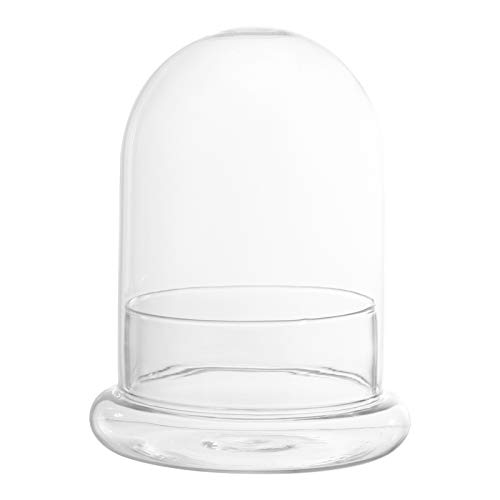TOYANDONA Ökologische Flasche Moos Miniatur Vitrine Deckel Künstliche Glasglocke Ausstellungskuppel Probenflasche Mini Wasserflasche Künstliche Ranken Terrarium Transparentes von TOYANDONA