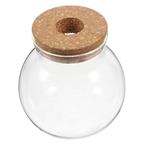 TOYANDONA Ökologische Mikrolandschaftsflasche Fischglasvase Terrarienglas Fischschale Mit Deckel Glasterrarium Mit Deckel Desktop-Aquarium Füllstoffe Für Vasendekorationen Holz Transparent von TOYANDONA