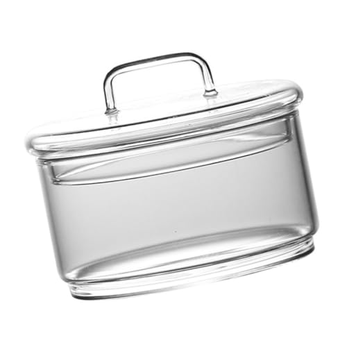 TOYANDONA Ökologische Mikrolandschaftsflasche Glas Pflanzflasche mit Deckel Transparente Hydroponik Vase Dekorativer Glasbehälter für DIY Moos Terrarium Zimmerpflanzen Deko von TOYANDONA