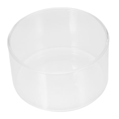 TOYANDONA Ökologische Mikrolandschaftsflasche Klein Luftpflanzen Pflanzterrarien Drinnen Pflanzenterrarium Farn Terrariumpflanzen Anlage Pflanzen Flasche Glas Transparent TOYANDONA Ökologische Mikrolandschaftsflasche Klein Luftpflanzen Pflanzterrarien Drinnen Pflanzenterrarium Farn Terrariumpflanzen Anlage Pflanzen Flasche Glas Transparent von TOYANDONA