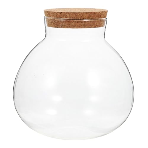 TOYANDONA Ökologische Mikrolandschaftsflasche Moos-landschaftsbauflasche Terrarium Mit Deckel Terrarium Globe Jar Ökosystemflasche Tabelle Vase Knospenvase Transparent Glas von TOYANDONA