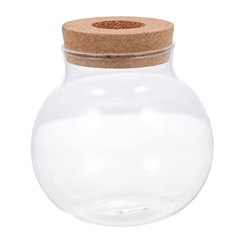 TOYANDONA Ökologisches Aquarium Desktop - Terrarium Behälter Fischbecken Kleiner Fischtank Panzer Container Beta-Aquarium Klar Mini Sukkulentenflasche Transparent Glas von TOYANDONA