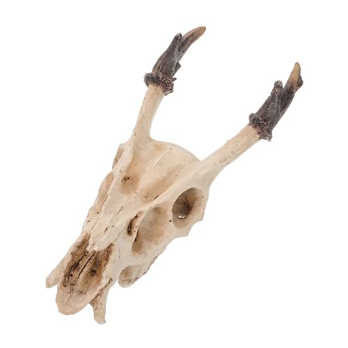 TOYANDONA Ornamente Für Die Von Haustieren Dekoration Terrarienzubehör Zubehör Für Bartagamen Lebensraum Für Schlangen Verstecke Und Höhlen Für Reptilien Felsen von TOYANDONA