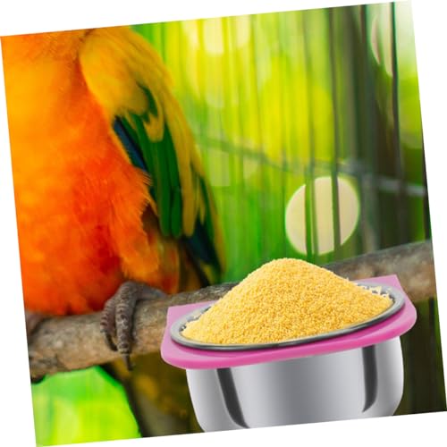 TOYANDONA Papageien Futterspender Futternapf Vogelkäfig Futter und Wasserschale Einfach zu Reinigen Langlebig Geeignet für Große Papageienkäfige TOYANDONA Papageien Futterspender Futternapf Vogelkäfig Futter und Wasserschale Einfach zu Reinigen Langlebig Geeignet für Große Papageienkäfige von TOYANDONA