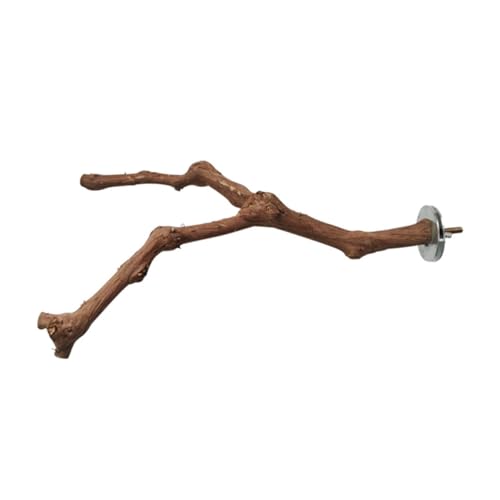 TOYANDONA Papageien Sitzstange aus Naturholz Vogel Trainingsspielzeug zur Krallenpflege Kletterstab für Käfig Langlebige Standstange für Wellensittiche und Nymphensittiche Zufälliger Stil TOYANDONA Papageien Sitzstange aus Naturholz Vogel Trainingsspielzeug zur Krallenpflege Kletterstab für Käfig Langlebige Standstange für Wellensittiche und Nymphensittiche Zufälliger Stil von TOYANDONA