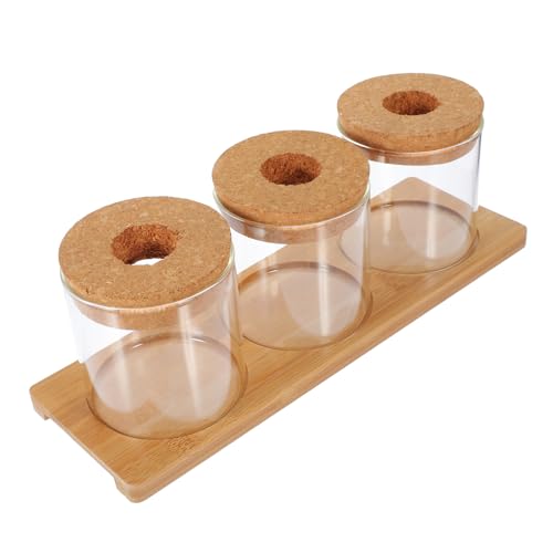 TOYANDONA Pflanzenterrarium Aus Glas Für Anzuchtstation Mit Bambusständer Als Innenbereich Pflanzenhalter Für Lebende Zimmerpflanzen Und Terrarienpflanzen TOYANDONA Pflanzenterrarium Aus Glas Für Anzuchtstation Mit Bambusständer Als Innenbereich Pflanzenhalter Für Lebende Zimmerpflanzen Und Terrarienpflanzen von TOYANDONA