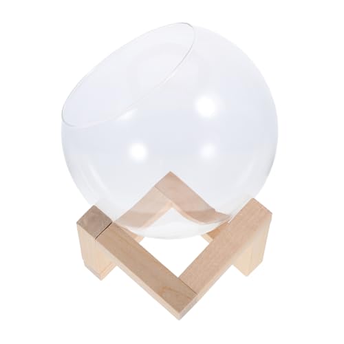 TOYANDONA Pflanzenterrarium Zimmerpflanzen Hamsterbad Vermehrungsgefäße Sandbad Für Hamster Pflanzen -Terrarium -kit Zubehör Für Terrarien Hamstersand Chinchillastaub Kuppel Transparent Glas von TOYANDONA