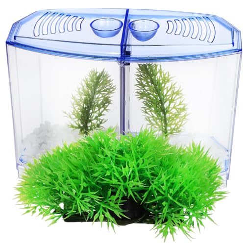 TOYANDONA Plastik Aquarium Zuchtbox Teiliges Set Transparent mit Blauer Trennwand und Künstlichen Wasserpflanzen Multifunktional für Kleine Fische Hydroponik und Kreative Tischdekoration von TOYANDONA