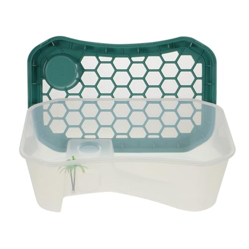 TOYANDONA Plastik Schildkrötenplattform mit Rampe Robustes Reptilien Habitat für Terrarien Weißer PP Material Behälter mit Blauem Deckel zum Sonnenbaden Fressen und Ausruhen von von TOYANDONA