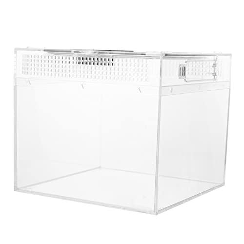 TOYANDONA Praktische Reptilien Zuchtbox mit Transparentem Gehäuse Magnetischem Schiebedeckel Geeignet für Tarantel Eidechsen Frösche und Kleintiere Einfach zu Reinigen und Ausbruchsicher TOYANDONA Praktische Reptilien Zuchtbox mit Transparentem Gehäuse Magnetischem Schiebedeckel Geeignet für Tarantel Eidechsen Frösche und Kleintiere Einfach zu Reinigen und Ausbruchsicher von TOYANDONA