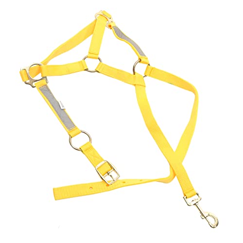 TOYANDONA Reflektierender Pferdschleier Völlig Pferde- Reflektierendes Pferdegeschirr Strickhalfter Für Pferde Reflektierendes Pferdehalfter Verstellbares Halfter Gelb Pp-gurtband von TOYANDONA