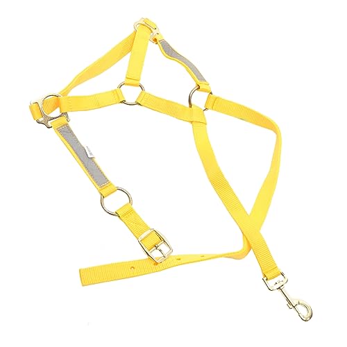 TOYANDONA Reflektierender Pferdschleier Völlig Turnierhalfter Für Pferde Pferdehalfter Aus Seil Verstellbares Halfter Strickhalfter Für Pferde Zubehör Halfterpferd Pp-gurtband Gelb TOYANDONA Reflektierender Pferdschleier Völlig Turnierhalfter Für Pferde Pferdehalfter Aus Seil Verstellbares Halfter Strickhalfter Für Pferde Zubehör Halfterpferd Pp-gurtband Gelb von TOYANDONA