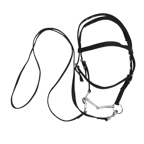 TOYANDONA Reiterrollen Pferdehalfter Halfter für Pferde Englische Zäume für Pferde Pferdestallbedarf Halfterpferd Strickhalfter Rinderseilhalfter Pferdeseil Nylon Black TOYANDONA Reiterrollen Pferdehalfter Halfter für Pferde Englische Zäume für Pferde Pferdestallbedarf Halfterpferd Strickhalfter Rinderseilhalfter Pferdeseil Nylon Black von TOYANDONA