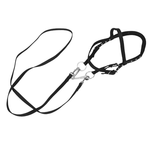 TOYANDONA Reitzügel Halfter Pferdeseilhalfter Pferdestallbedarf Halfter Für Pferde Pferdehalfter Pferdeseilzäume Für Pferde Viehseilhalfter Nylon Schwarz von TOYANDONA