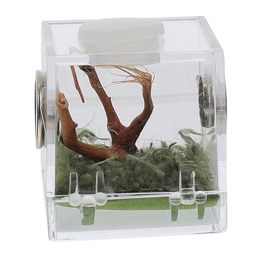 TOYANDONA Reptilien Fütterungsbox Transparente Insekten Brutbox für Schlangen Spinnen Geckos und Andere Kleine Atmungsaktive Lebensraum Box für Effektive Fütterung TOYANDONA Reptilien Fütterungsbox Transparente Insekten Brutbox für Schlangen Spinnen Geckos und Andere Kleine Atmungsaktive Lebensraum Box für Effektive Fütterung von TOYANDONA