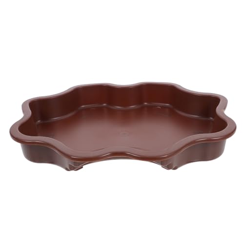 TOYANDONA Reptilien Futter Und Wassernapf Aus Material Große Wasserschale Für Schildkröten Und Bartagamen Langlebig Zu Reinigen Für Reptilienbecken TOYANDONA Reptilien Futter Und Wassernapf Aus Material Große Wasserschale Für Schildkröten Und Bartagamen Langlebig Zu Reinigen Für Reptilienbecken von TOYANDONA