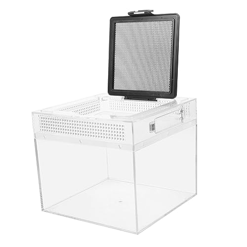 TOYANDONA Reptilien Futterbox aus Robustem Lichtdurchlässigem Material Langlebiges Terrarium Gehege für Spinnen Eidechsen Taranteln Zuchtbehältnis für Kleintiere und Reptilienliebhaber TOYANDONA Reptilien Futterbox aus Robustem Lichtdurchlässigem Material Langlebiges Terrarium Gehege für Spinnen Eidechsen Taranteln Zuchtbehältnis für Kleintiere und Reptilienliebhaber von TOYANDONA