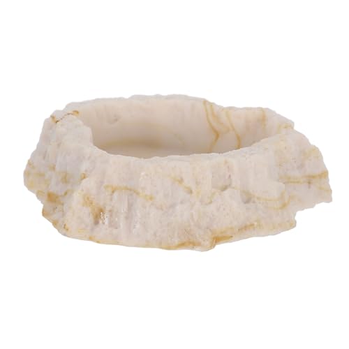 TOYANDONA Reptilien Wassernapf aus Resin Naturgetreue Futter und Wasserschale für Terrarien und Tragbar Eidechsen Schlangen und Schildkröten zu Reinigen TOYANDONA Reptilien Wassernapf aus Resin Naturgetreue Futter und Wasserschale für Terrarien und Tragbar Eidechsen Schlangen und Schildkröten zu Reinigen von TOYANDONA