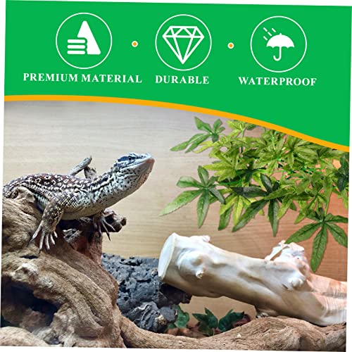 TOYANDONA Reptilien Wasserschale aus Harz Futter und Trinkschale für Schildkröten Eidechsen Schlangen und Kleine Reptilien Robust Realistisch Gestaltet Vielseitig Einsetzbar im Terrarium TOYANDONA Reptilien Wasserschale aus Harz Futter und Trinkschale für Schildkröten Eidechsen Schlangen und Kleine Reptilien Robust Realistisch Gestaltet Vielseitig Einsetzbar im Terrarium von TOYANDONA