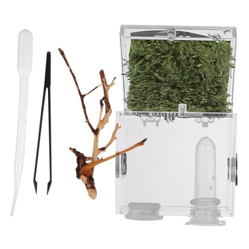 TOYANDONA Reptilien Zuchtbox aus Hochwertigem Kunststoff mit Belüftungslöchern Transparentes Terrarium für Kleine Spinnen und Insekten Langlebiger Reptilienbehälter für Artgerechte Haltung von TOYANDONA