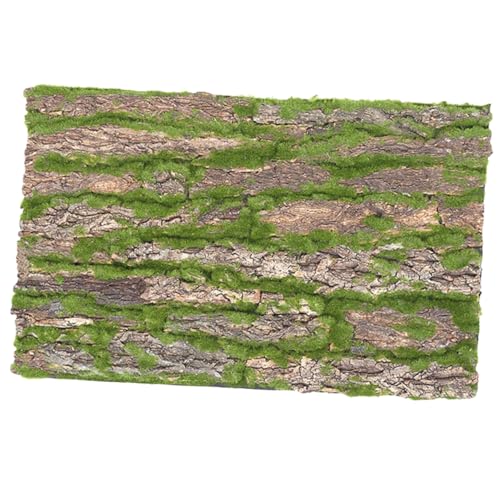 TOYANDONA Reptilienrindendekor für Terrarien Kletterplattform für Eidechsen Schildkröten und Andere Reptilien Natürliches Material für Authentisches von TOYANDONA