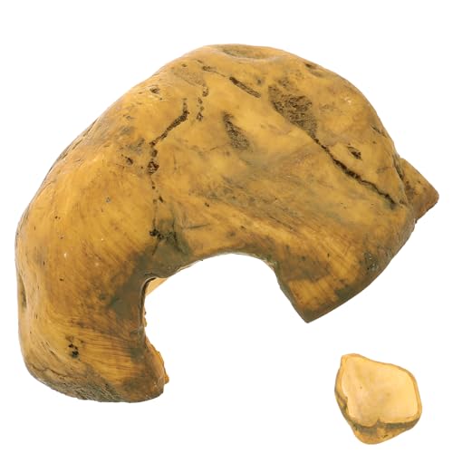 TOYANDONA Reptilienhöhle Für Schildkröten Und Bartagamen Simulation Cave Als Versteck Und Dekoration Für Terrarium Und Aquarium Aus Harzmaterial Leicht Zu Reinigen TOYANDONA Reptilienhöhle Für Schildkröten Und Bartagamen Simulation Cave Als Versteck Und Dekoration Für Terrarium Und Aquarium Aus Harzmaterial Leicht Zu Reinigen von TOYANDONA