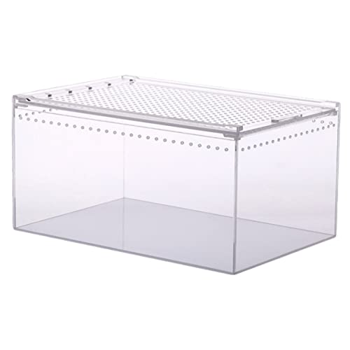 TOYANDONA Reptilienzuchtbox Transparente Pflegeleichte Terrarien Für Spinnen Schlangen Geckos Und Andere Kleine Haustiere Und Sicher Im Gebrauch von TOYANDONA