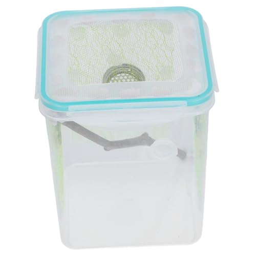 TOYANDONA Transparente Reptilien-futterbox Insektenaufzuchtbox Terrariumbehälter Aus Kunststoff Für Mantis Vogelspinnen Und Andere Insekten Kleines Gehege Mit Atmungsaktiven Seitenlöchern von TOYANDONA