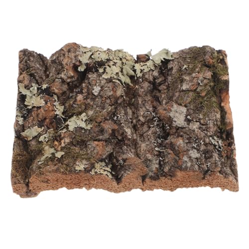TOYANDONA Rinde Dekoration Hintergrund Für Reptilienbecken Terrarienbaumrinde Reptiliengehäuse Baumstammdekoration Rinde Terrarium Hintergrund Dekorationen Für Aquarien Dark Brown von TOYANDONA