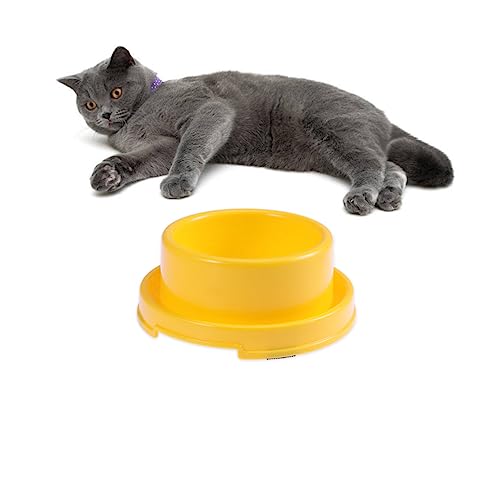 TOYANDONA Futternäpfe Für Haustiere Runde Form Aus Hochwertigem Kunststoff Wasserundurchlässig Und Verschleißfest Geeignet Für Katzen Welpen Und Kleine Haustiere von TOYANDONA