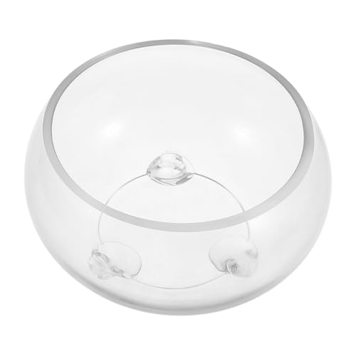 TOYANDONA Runde Glasfischschüssel Kreative DIY Terrarium Vase für Betta Fische und Hydroponische Pflanzen Vielseitige Dekoration für Zuhause Büro und Hochzeiten TOYANDONA Runde Glasfischschüssel Kreative DIY Terrarium Vase für Betta Fische und Hydroponische Pflanzen Vielseitige Dekoration für Zuhause Büro und Hochzeiten von TOYANDONA