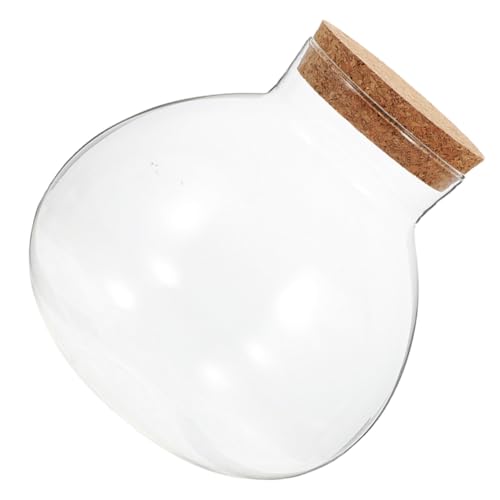 TOYANDONA Rundes Glas ecobottle mit Korken DIY Mikrolandschaft Terrarium Elegantes Pflanzfläschchen Nachhaltiges Home Supplies für Moos Pflanzenkunst Dekoratives Kompaktes Wohnaccessoire TOYANDONA Rundes Glas ecobottle mit Korken DIY Mikrolandschaft Terrarium Elegantes Pflanzfläschchen Nachhaltiges Home Supplies für Moos Pflanzenkunst Dekoratives Kompaktes Wohnaccessoire von TOYANDONA