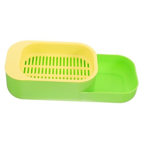 TOYANDONA Soilless Hydroponic Katzengras Pflanzbox Praktischer Grüner Katzengras Planter mit Großem Pflanzbereich Einfache Geeignet für Katzen zur Natürlichen Maulpflege und Gesunden von TOYANDONA