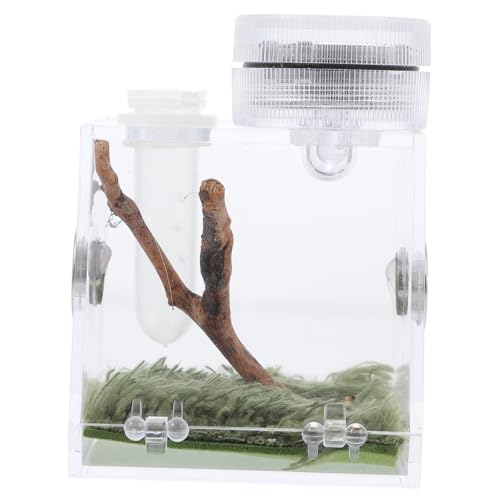 TOYANDONA Sprungspinnen Lebensraum Box Klein Sicher Atmungsaktiv mit Beleuchtung und Futteröffnung für Spinnen Terrarium Zuchtbox Geeignet für Kleine Haustiere Wie Springspinne und Insekten von TOYANDONA