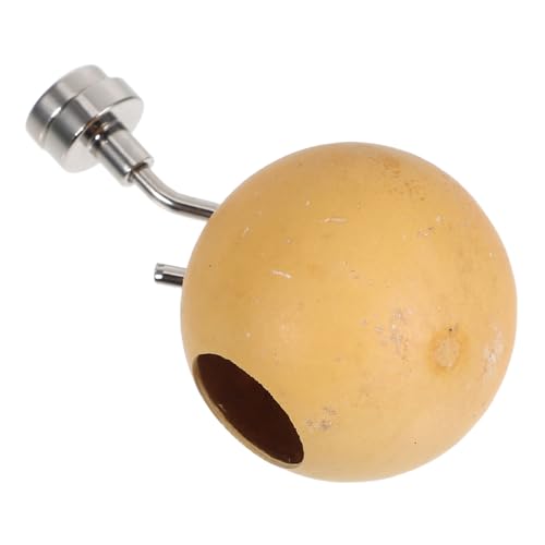 TOYANDONA Sprungspinnenhäute Springspinnengehege Zubehör Springspinnen-Terrarium Springspinnen-Feeder Sprungspinnennest Versteck Für Springende Spinnen Spinne Versteckt Lebensraum Kürbis von TOYANDONA
