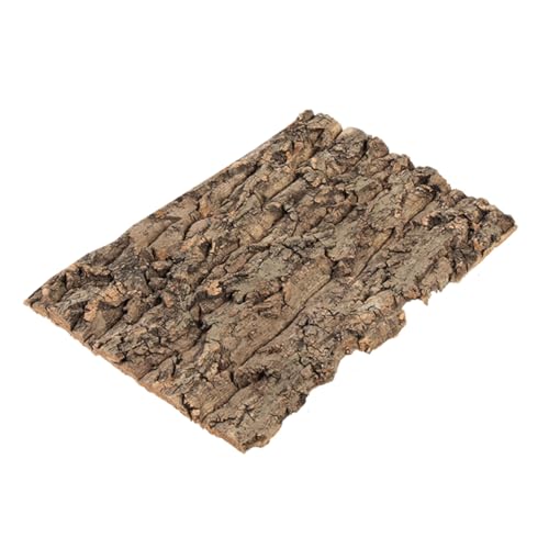 TOYANDONA Terrarium-Champagnerrinde Reptilien Terrarium Kletterhölzer für Echsen Reptilien Lebensraum Kletterhilfe für Reptilien Hintergrund für Reptilienbecken Korkenrinde Coffee von TOYANDONA