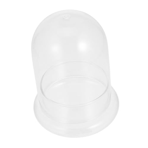 TOYANDONA Terrarium Flasche für Mikrolandschaft DIY Ökologische Moosflasche für Pflanzen für Wohnraumgestaltung von TOYANDONA