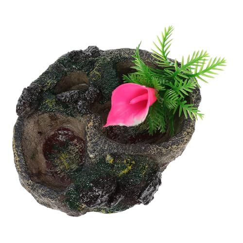 TOYANDONA Terrarium Futter und Wassernapf für Reptilien Robuster Speisebehälter aus Resin im für Schildkröten und Kleine Haustiere Sicheres und Futterzubehör TOYANDONA Terrarium Futter und Wassernapf für Reptilien Robuster Speisebehälter aus Resin im für Schildkröten und Kleine Haustiere Sicheres und Futterzubehör von TOYANDONA