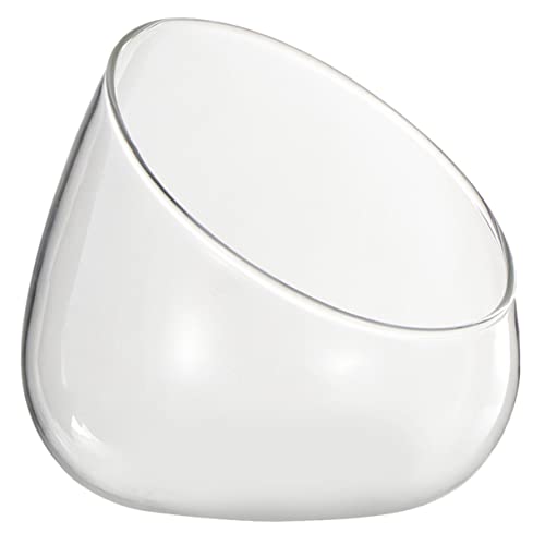 TOYANDONA Terrarium Schräg Geschnittener Pflanzflasche DIY Sukkulenten Flaschengarten Dekorativ für Innenräume Multifunktionale Ökologische Flasche Wohnzimmer Dekoration TOYANDONA Terrarium Schräg Geschnittener Pflanzflasche DIY Sukkulenten Flaschengarten Dekorativ für Innenräume Multifunktionale Ökologische Flasche Wohnzimmer Dekoration von TOYANDONA