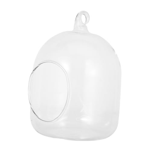 TOYANDONA Terrarium mit Moos Kompakter Pflegeleichter Mini Pflanzentopf für Hydroponik Dekorative Glasflasche für Büro Schlafzimmer und Schreibtisch DIY Pflanzen TOYANDONA Terrarium mit Moos Kompakter Pflegeleichter Mini Pflanzentopf für Hydroponik Dekorative Glasflasche für Büro Schlafzimmer und Schreibtisch DIY Pflanzen von TOYANDONA
