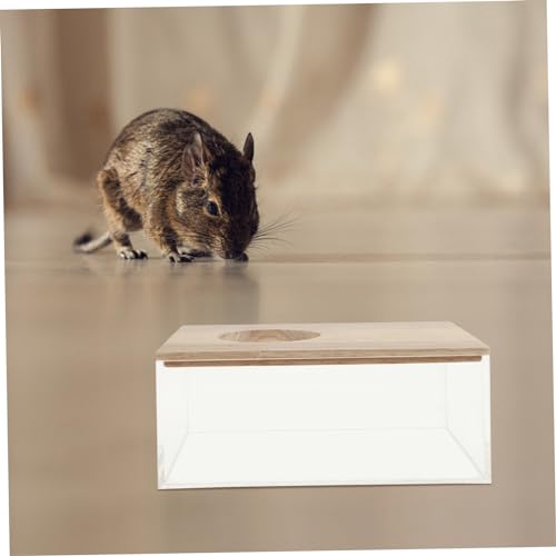 TOYANDONA Transparente Chinchilla Sandbad Box aus mit Holzdeckel Multifunktional für Hamster Meerschweinchen und Kleine Haustiere Dekoratives Bad für Kleintierkäfige von TOYANDONA