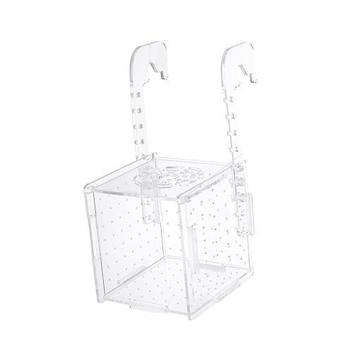TOYANDONA Transparente Fischzuchtbox mit Haken Aquarium Isolationsbox Brutkasten für Lebendgebärende Fische Schutz vor Adultangriffen Aufzuchtbecken für Babyfische Vielseitig und TOYANDONA Transparente Fischzuchtbox mit Haken Aquarium Isolationsbox Brutkasten für Lebendgebärende Fische Schutz vor Adultangriffen Aufzuchtbecken für Babyfische Vielseitig und von TOYANDONA