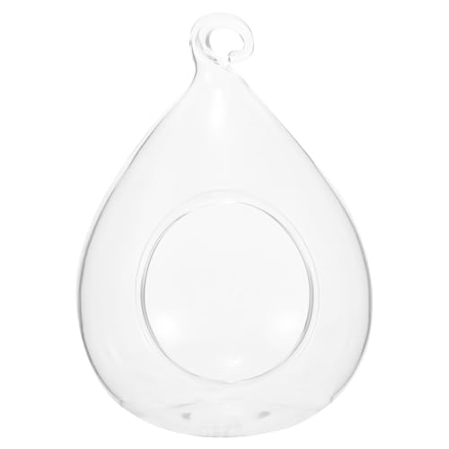 TOYANDONA Hängendes Glas-Terrarium Für Luftpflanzen Transparentes Design Zur Dekoration Von Wohnräumen Kreatives Für Pflanzenliebhaber von TOYANDONA